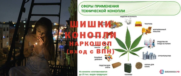 соль ск Вяземский