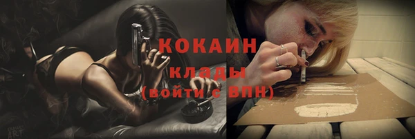 гидра Горно-Алтайск