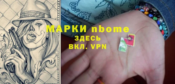 соль ск Вяземский