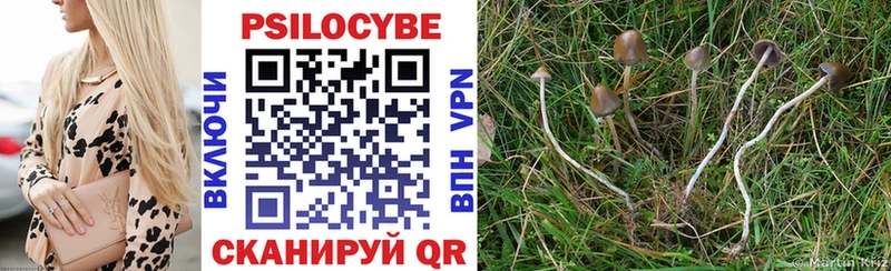 Псилоцибиновые грибы мицелий  купить  сайты  Златоуст 